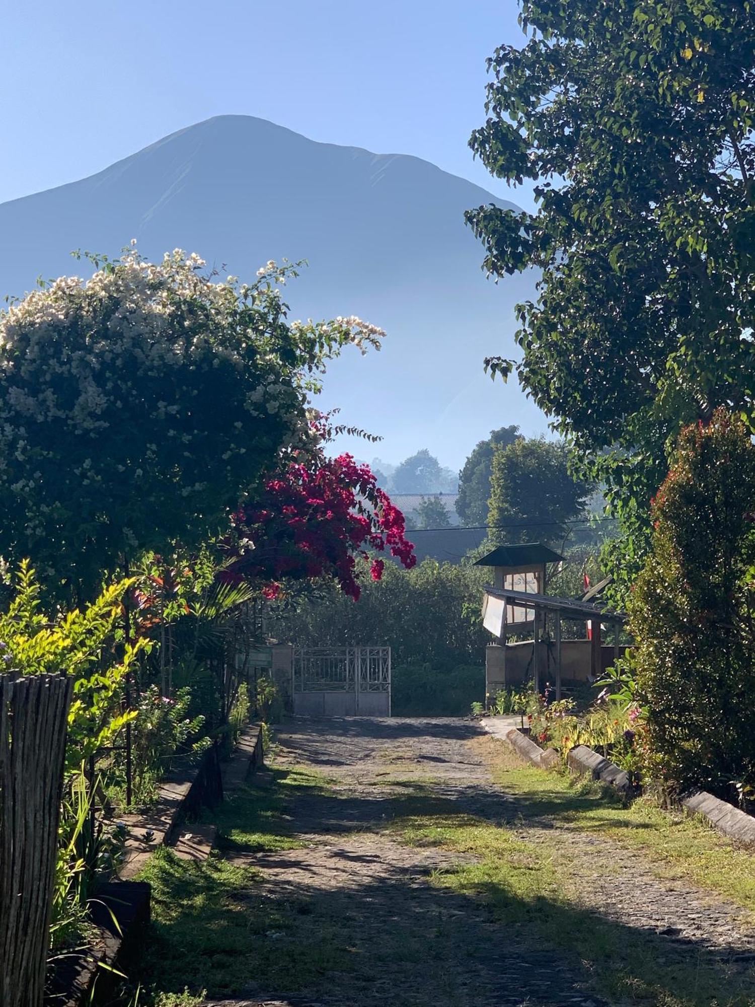 Lembah Rinjani Villa & Resto Syariah By Ecommerceloka Сембалун Лаванг Экстерьер фото